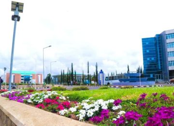 Main Campus Greenery